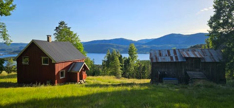 Bilde 1 av annonsen