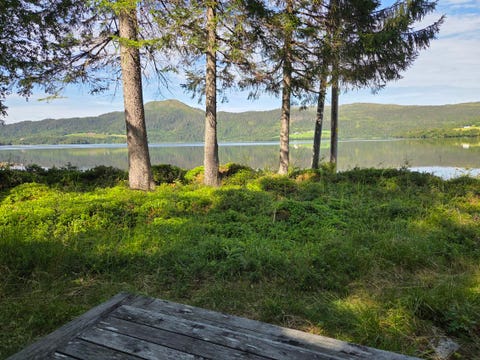 Bilde 2 av annonsen
