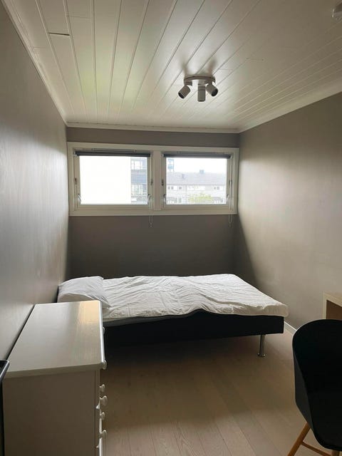 Bilde 2 av annonsen