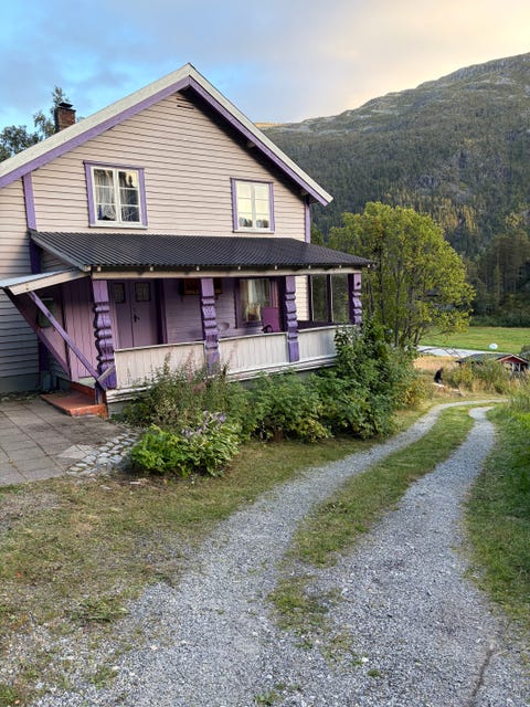 Bilde 1 av annonsen