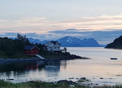 Bilde 1 av annonsen