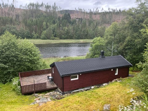 Bilde 1 av annonsen