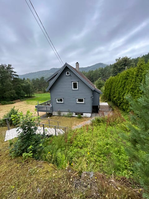 Bilde 1 av annonsen