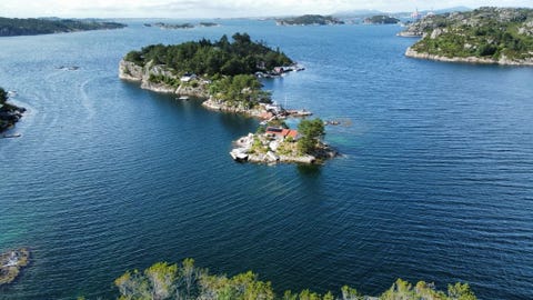Bilde 1 av annonsen