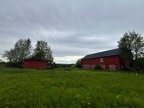 Bilde 1 av annonsen