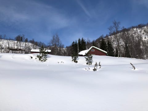 Bilde 1 av annonsen