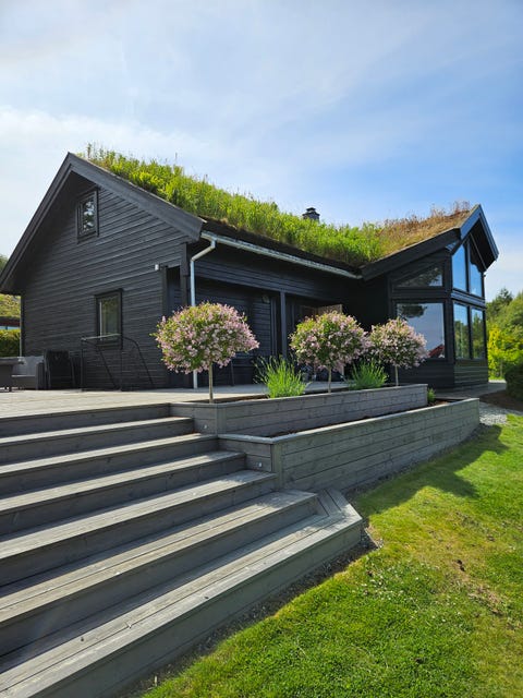 Bilde 2 av annonsen