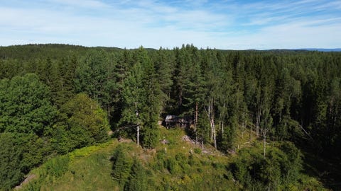 Bilde 2 av annonsen