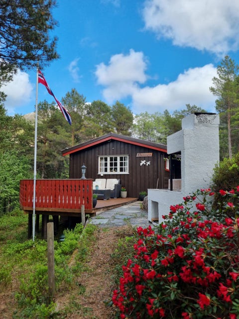 Bilde 1 av annonsen