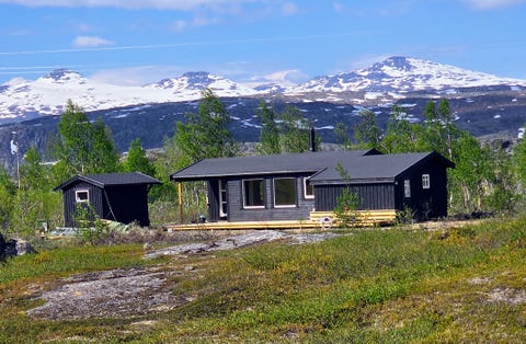 Bilde 1 av annonsen