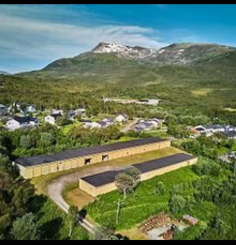 Bilde 1 av annonsen