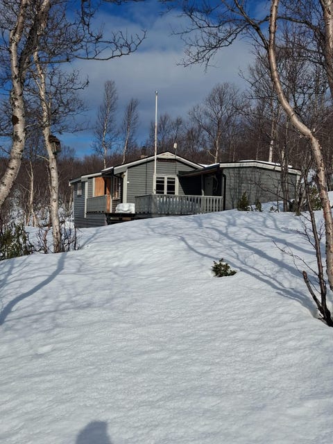 Bilde 1 av annonsen