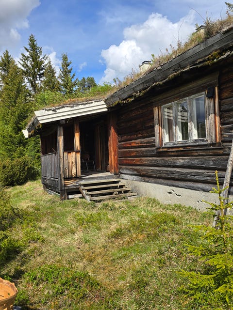 Bilde 2 av annonsen