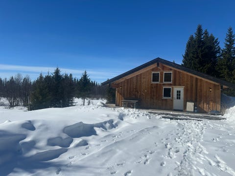 Bilde 2 av annonsen