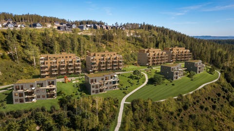 Bilde 1 av annonsen