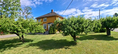 Bilde 2 av annonsen