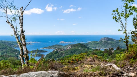 Bilde 1 av annonsen