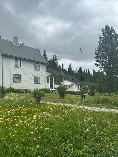 Bilde 2 av annonsen