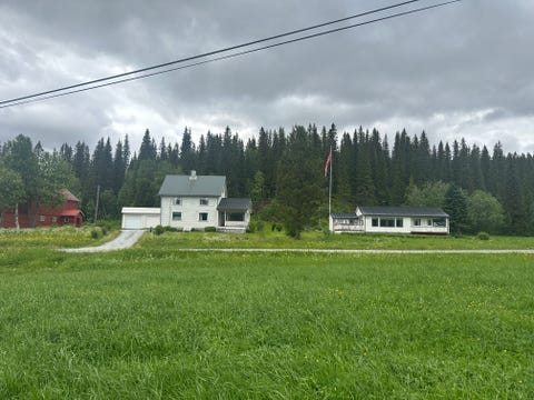 Bilde 1 av annonsen