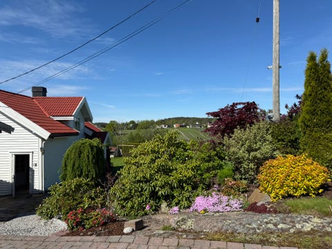 Bilde 1 av annonsen