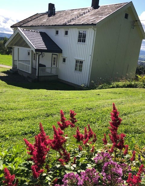 Bilde 2 av annonsen
