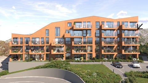 Bilde 1 av annonsen