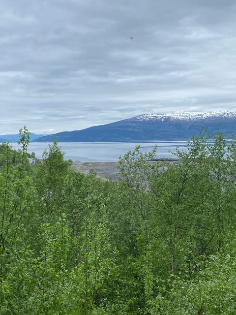 Bilde 2 av annonsen