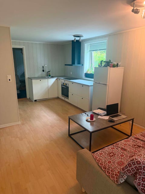 Bilde 1 av annonsen