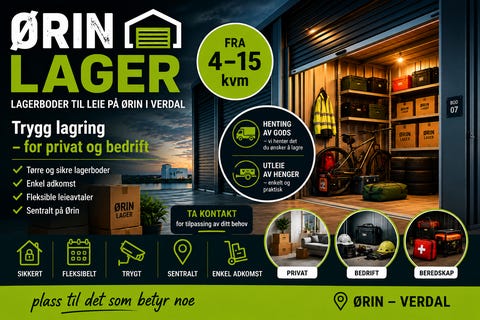 Bilde 1 av annonsen
