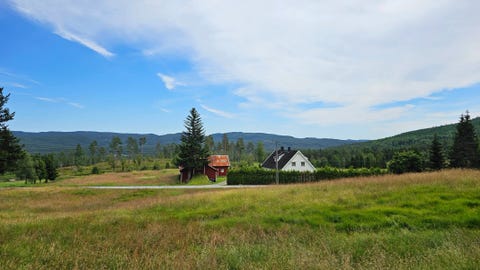 Bilde 1 av annonsen