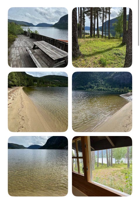 Bilde 1 av annonsen