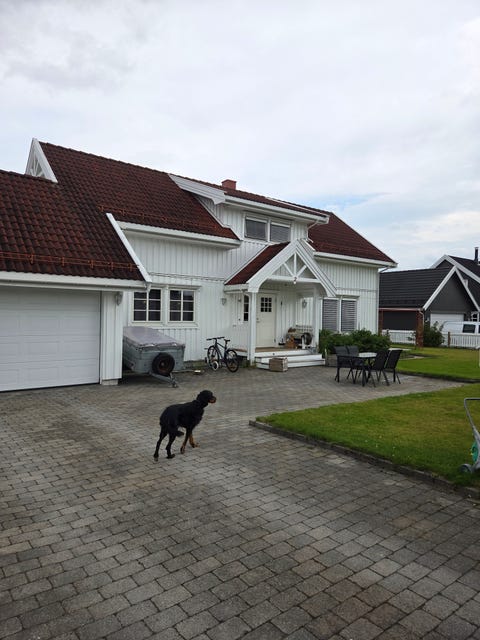 Bilde 1 av annonsen