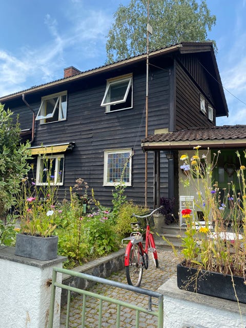 Bilde 1 av annonsen