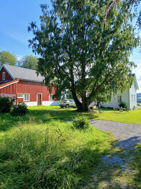 Bilde 1 av annonsen
