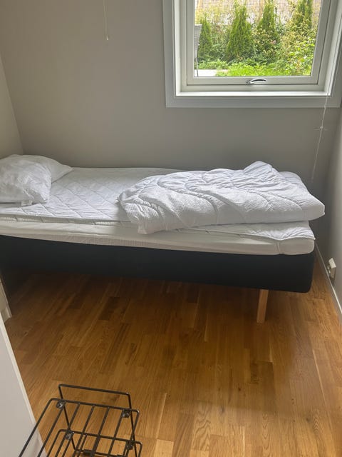 Bilde 2 av annonsen