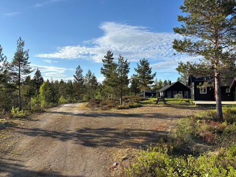 Bilde 1 av annonsen