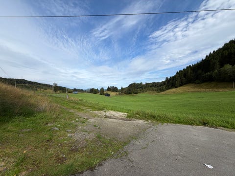Bilde 2 av annonsen