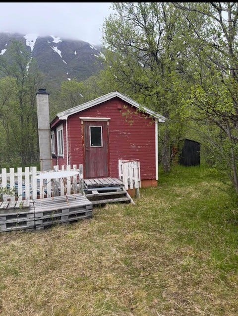 Bilde 1 av annonsen