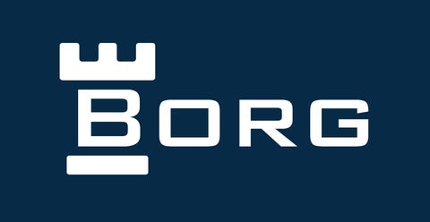 BORG FORVALTNING AS logo