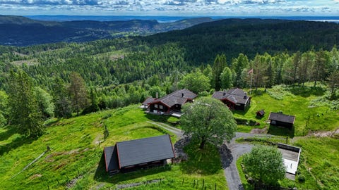 Bilde 1 av annonsen