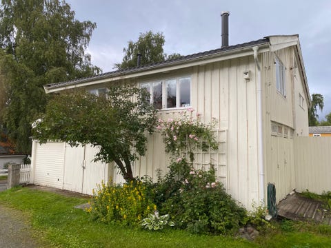Bilde 1 av annonsen