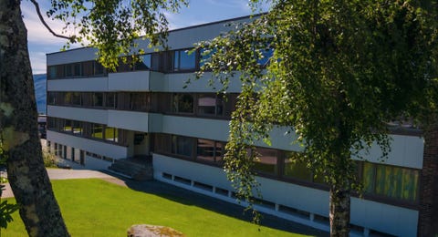 Bilde 1 av annonsen