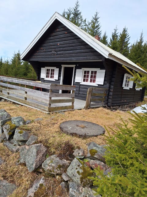 Bilde 1 av annonsen