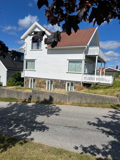 Bilde 1 av annonsen