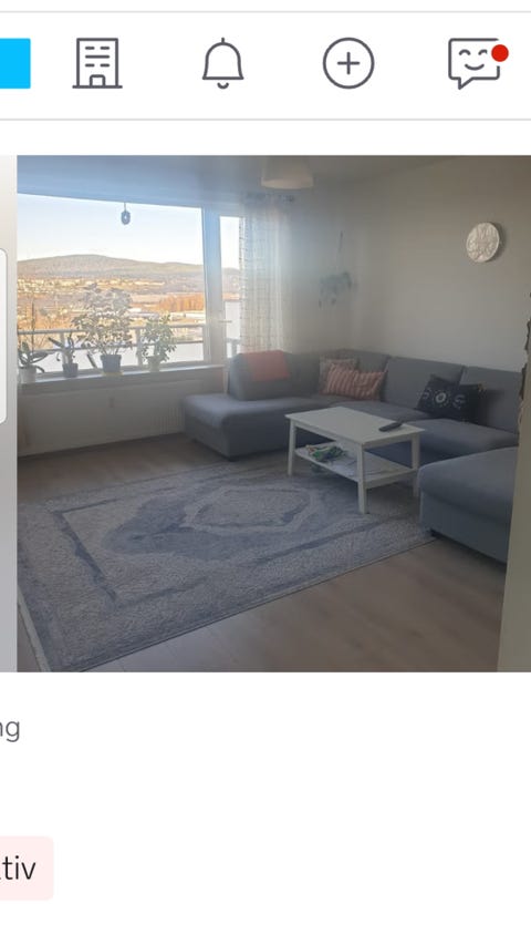 Bilde 1 av annonsen