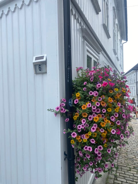 Bilde 2 av annonsen