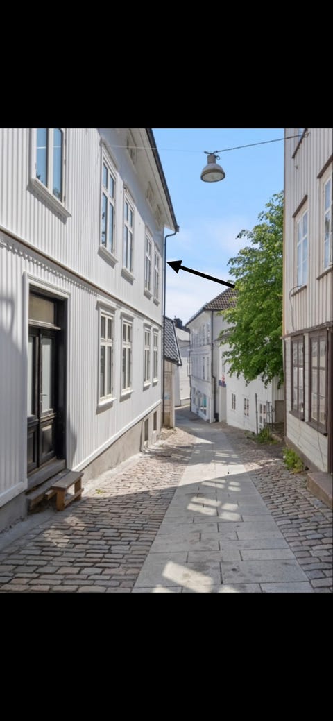 Bilde 1 av annonsen