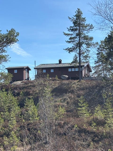 Bilde 1 av annonsen