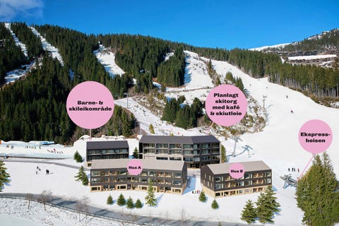 Bilde 2 av annonsen