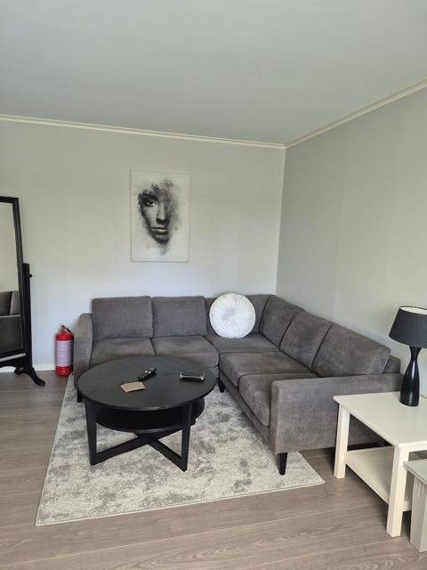Bilde 2 av annonsen